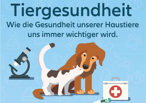 Infografik: Haustiergesundheit