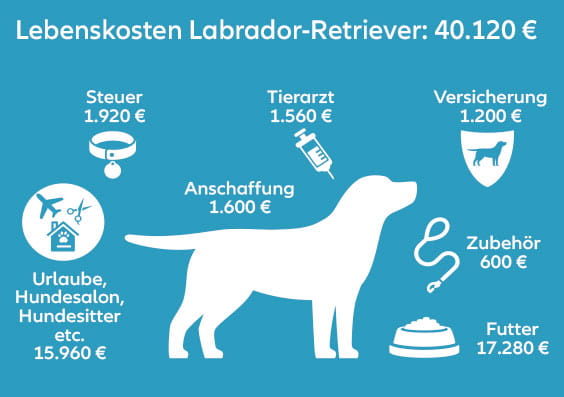 Infografik: Was kostet ein Haustier?